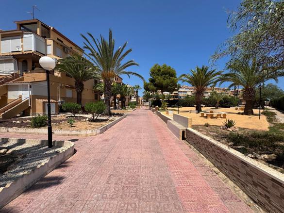 Estudio en Torreblanca