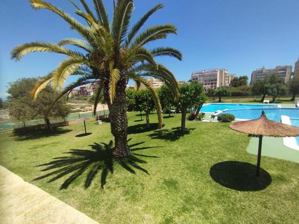 Apartments in Torreblanca